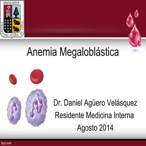 Anemia Megaloblastica