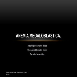 Anemia megaloblastica