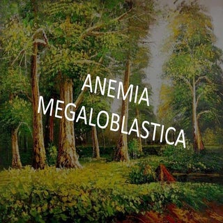 Anemia megaloblastica