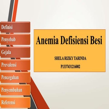 PPT Promosi Kesehatan Anemia pada Remaja 