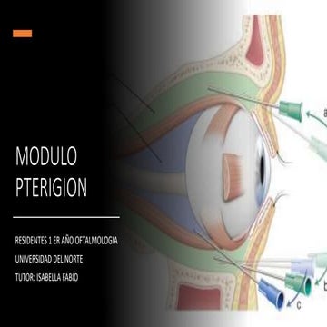 QUE ES ANESTESIA TOPICA EN OFTALMOLOGIA visual data 5