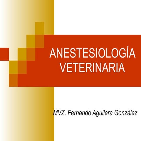 Anestesia Expo