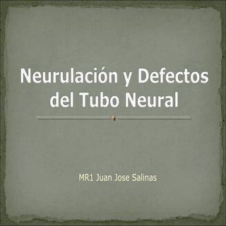 Neurulacion y defectos del tubo neural