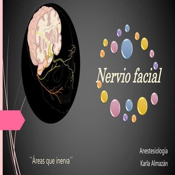 Anestesiologia - nervio facial