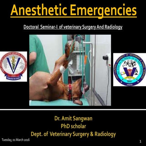 Anesthetic emergencies in animals 