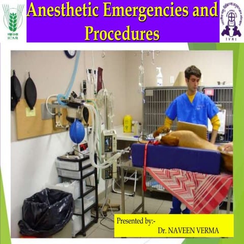 Anaesthetic emergencies and procedures in veterinary practices