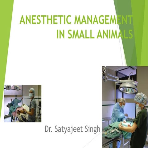 Anesthetic Management In Small Animals 2007