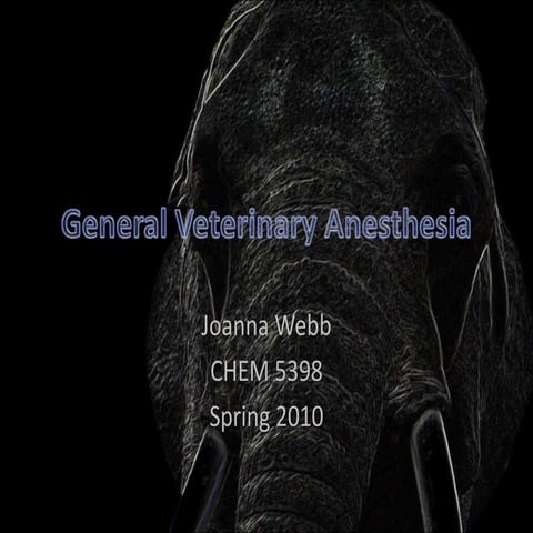 Anesthetics for veterinary student  in the fourth years