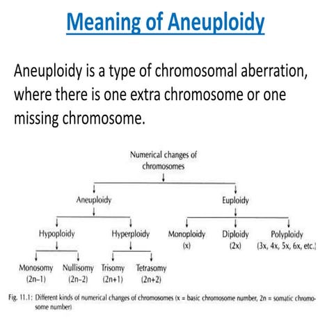 Aneuploidy