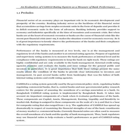 An Evaluation of Camels Rating System as a Measure of Bank Performance