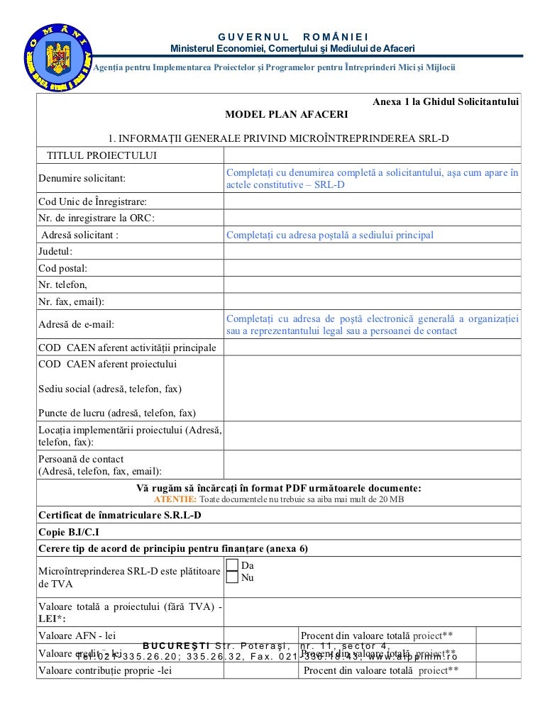 Anexa 1 Model Plan De Afaceri 2