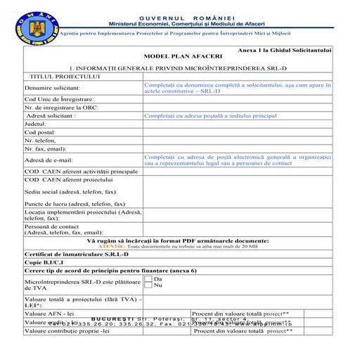 Anexa 1-model-plan-de-afaceri--2