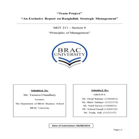 An exclusive report on Banglalink strategic management