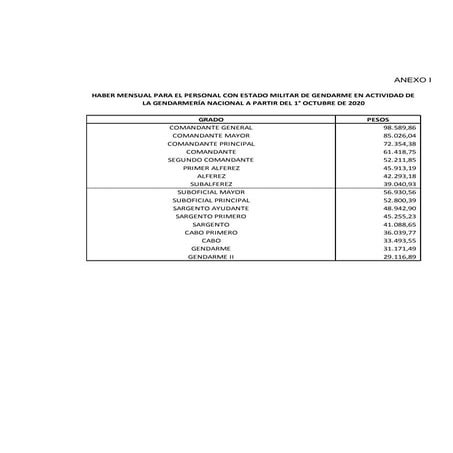  Resolución 344/2020 del Ministerio de Seguridad 