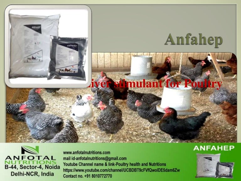 Poultry Feed Additive