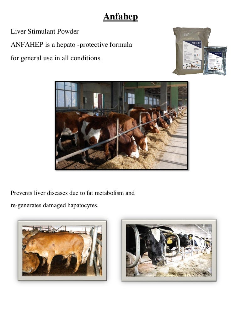 Cattle feed additives