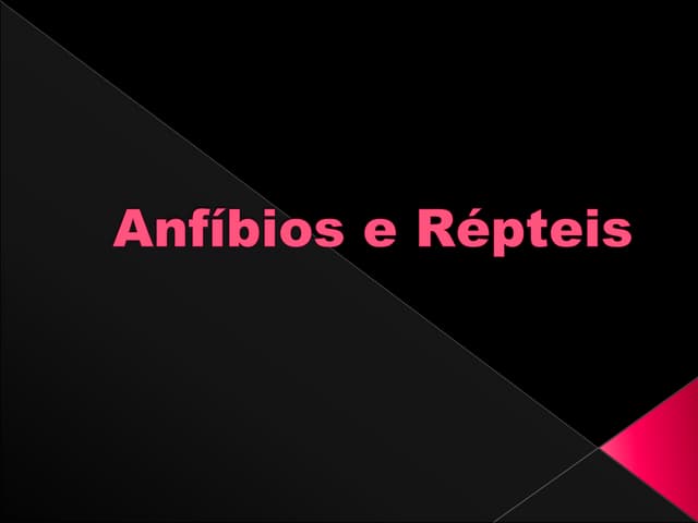 Anfíbios e répteis 