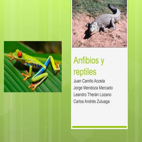 Anfibios y reptiles