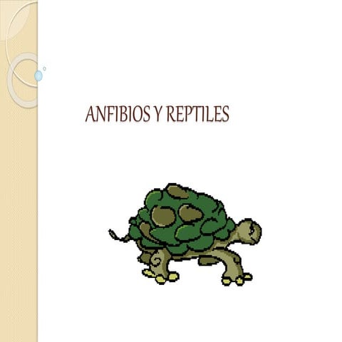 Anfibios y reptiles