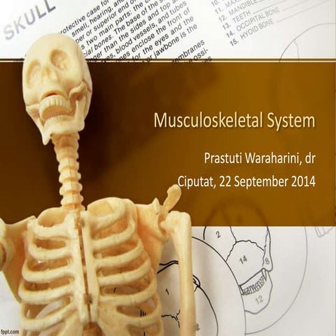 Anatomi Fisiologi Sistem Muskuloskeletal
