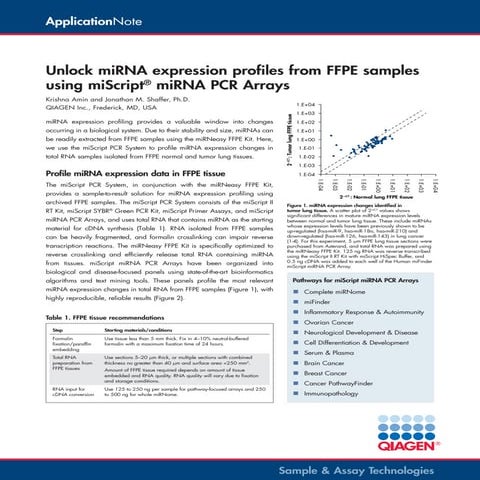 An gef mi_scriptffpe