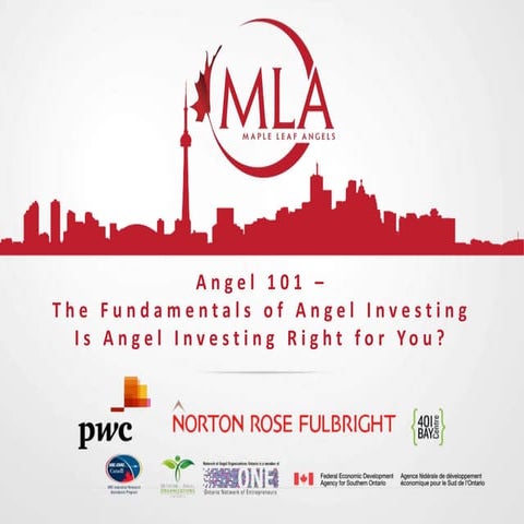 Considering being an Angel Investor