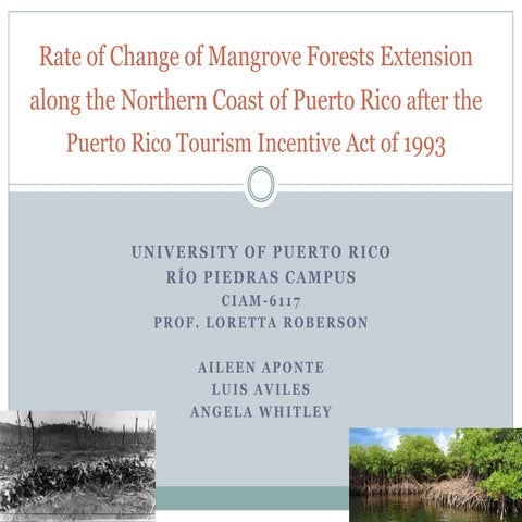 Angela, Luis, Aileen pre proposal presentation on mangrove cover and PR Touri...