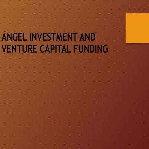 Angel Investment and Venture Capital Funding