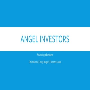 Angel Investors