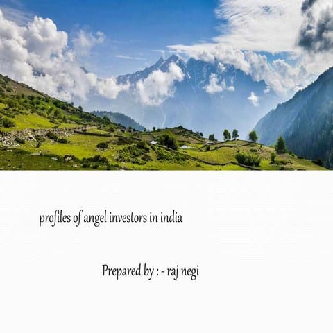 Angel investors in india