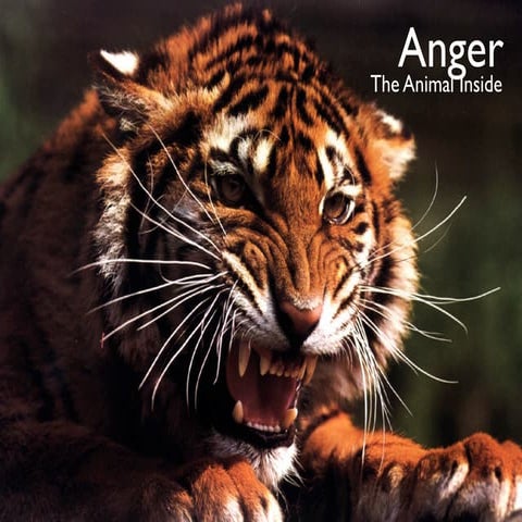 Anger | PPT