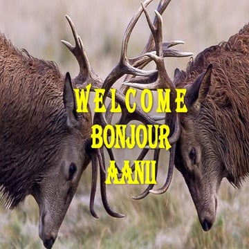 Anger Management Week 1 PPT by Gary Edwards.pptx