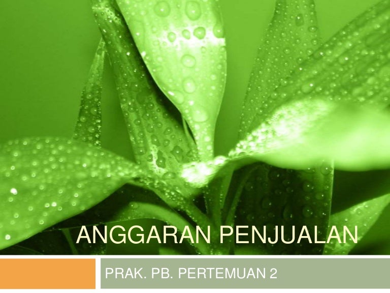 Anggaran Penjualan