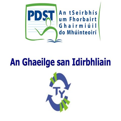 An ghaeilgesanidirbhliain2013