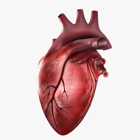 Angina pectoris by student at ahram canadian university