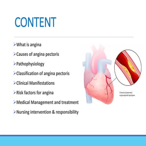 angina pectoris,seminar.pptx............