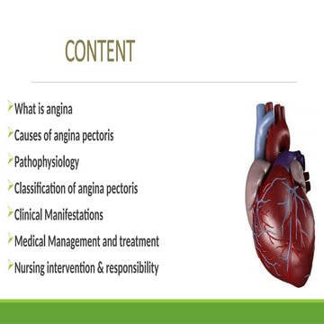 angina pectoris,seminar_16773487.30.pptx