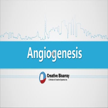 Angiogenesis