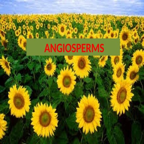 Life cycle of flowering plants | PPTX