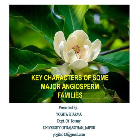 Key Characters of some major Angiosperm Families