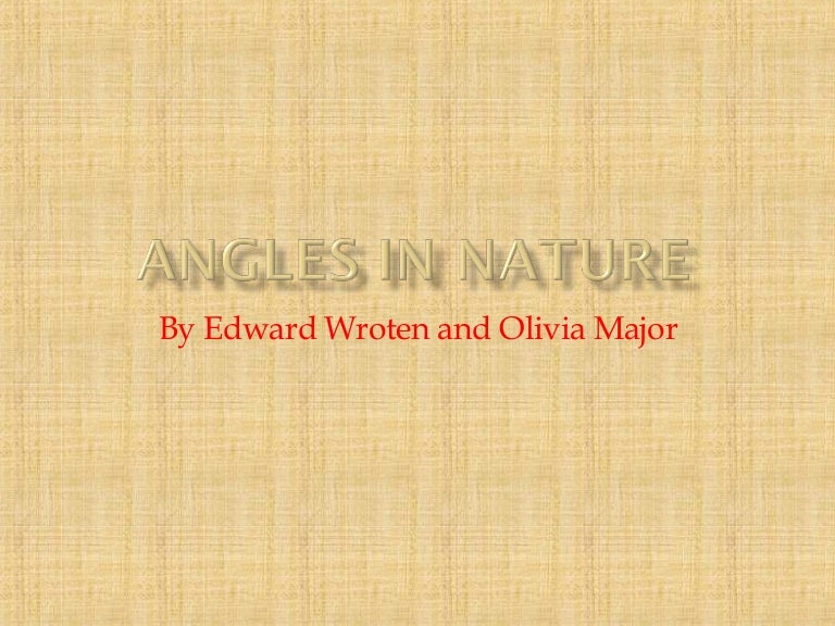 Angles In Nature 2