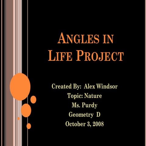 Angles Of Life Project