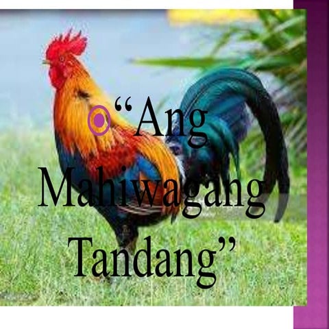 Ang mahiwagang tandang fil  7