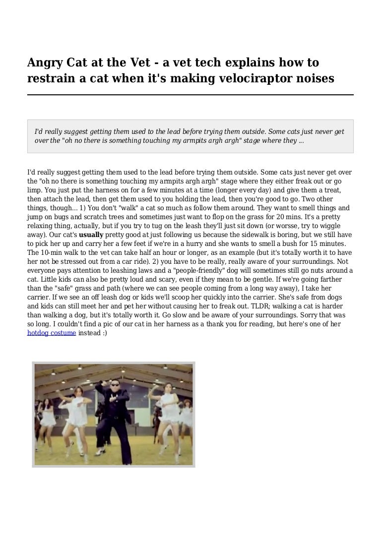 Angry Cat at the Vet a vet tech explains how to restrain a cat when…