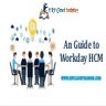 An Guide to Workday HCM