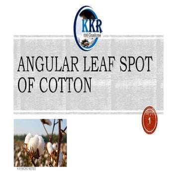 ANGULAR LEAF SPOT OF COTTON     K R.pptx
