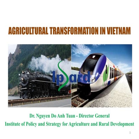 Agricultural Transformation in Vietnam