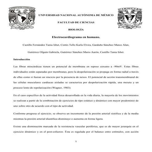 Reporte de práctica:ECG Humano