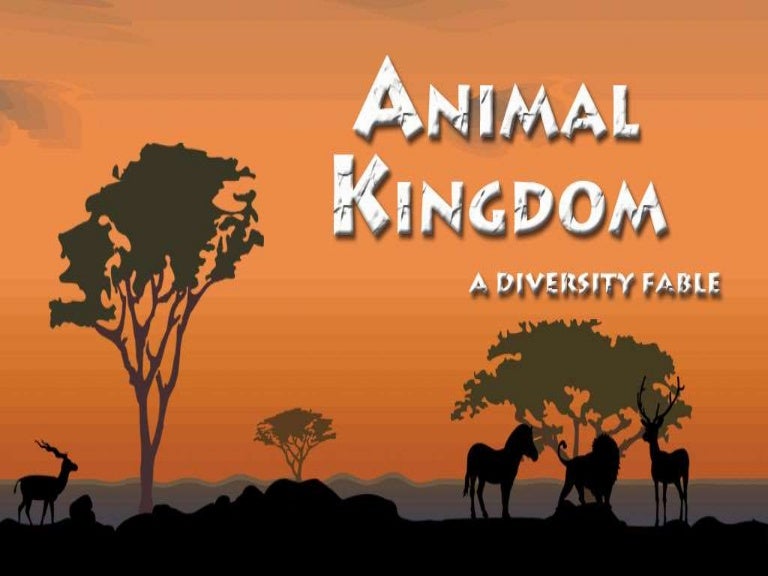 ANIMAL KING WITH MOTIVATION AND REVIEW