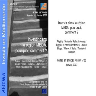 Investir dans la région MEDA